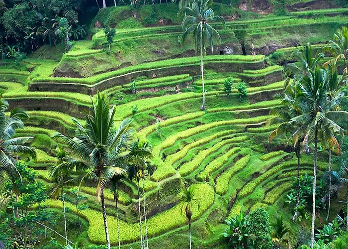 Tutick House Ubud